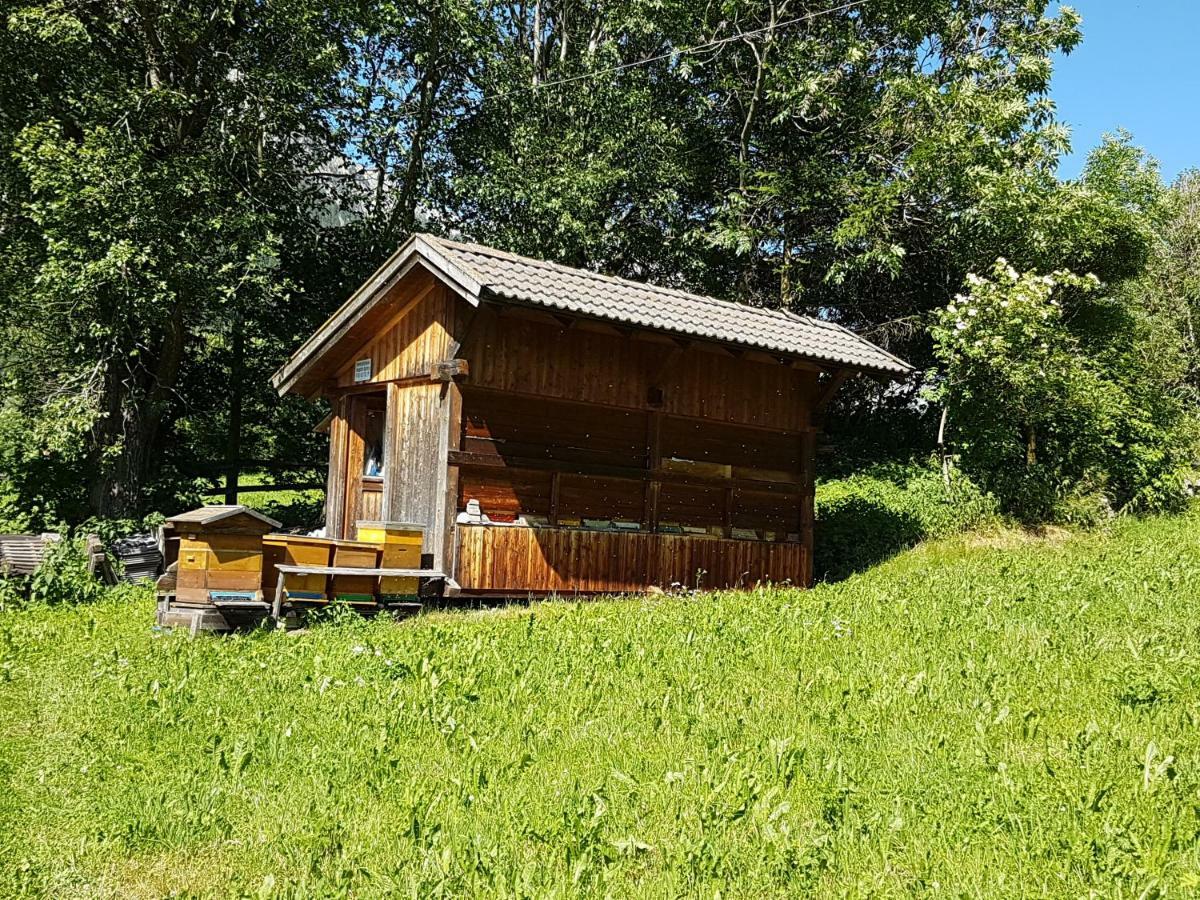 Apartments Nature Apis Landheim Anterselva di Mezzo Extérieur photo